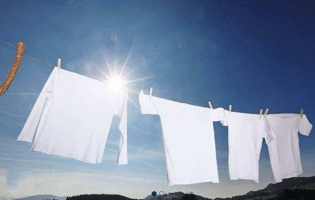 LINGE FRAIS