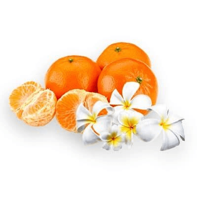 MONOÏ CLEMENTINE