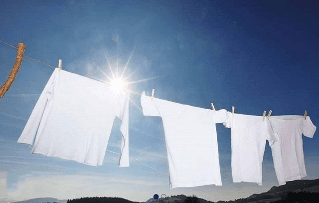 LINGE FRAIS