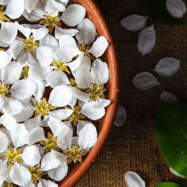 JASMIN
