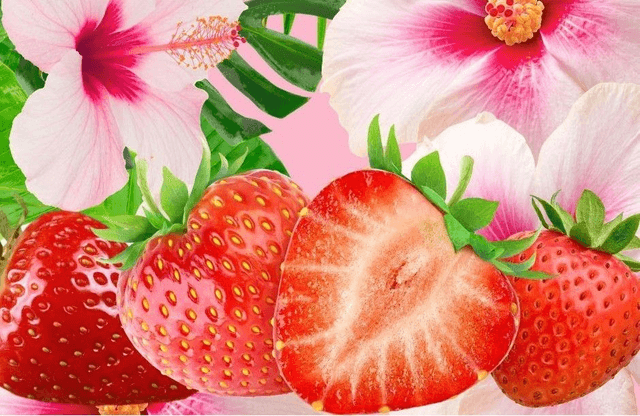 MONOÏ FRAISE
