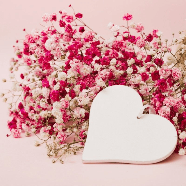 AMORE MIO