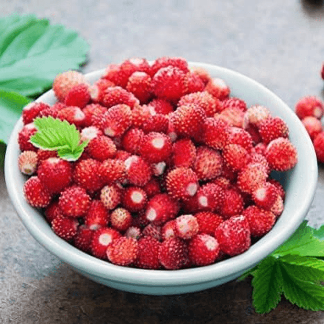 FRAISE DES BOIS