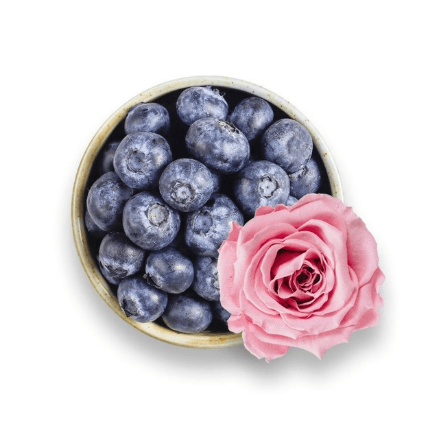 CASSIS ROSE
