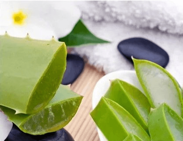ALOE VERA