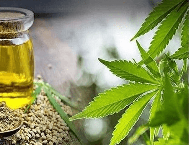 CANNABIS