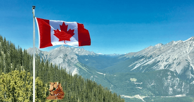 DOUCEUR DU CANADA